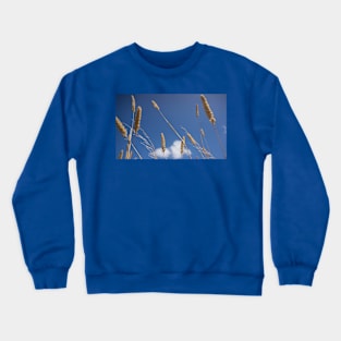 Seed heads. Crewneck Sweatshirt